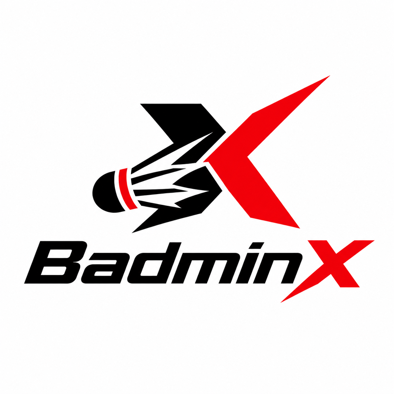 BadminX